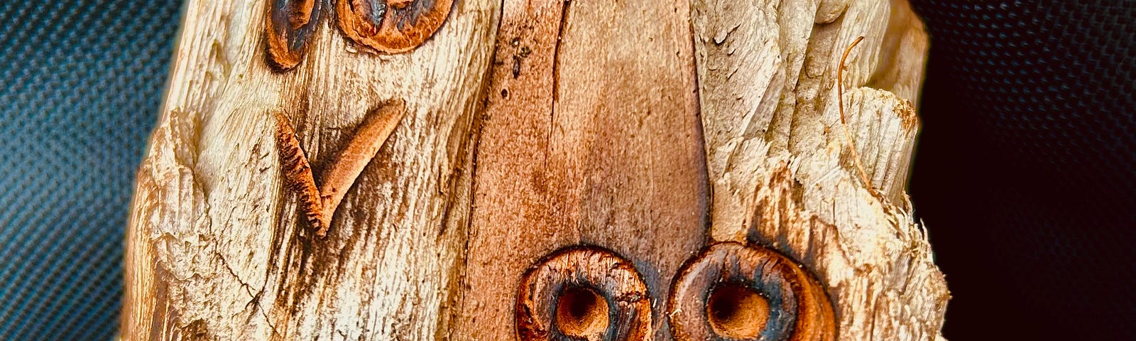 A piece of wood carved into two owl faces