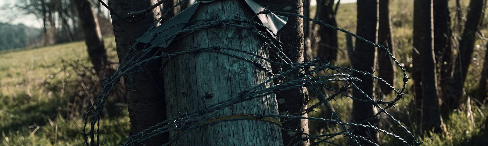 A fence post with barbed wire photographed in hypothermia light.