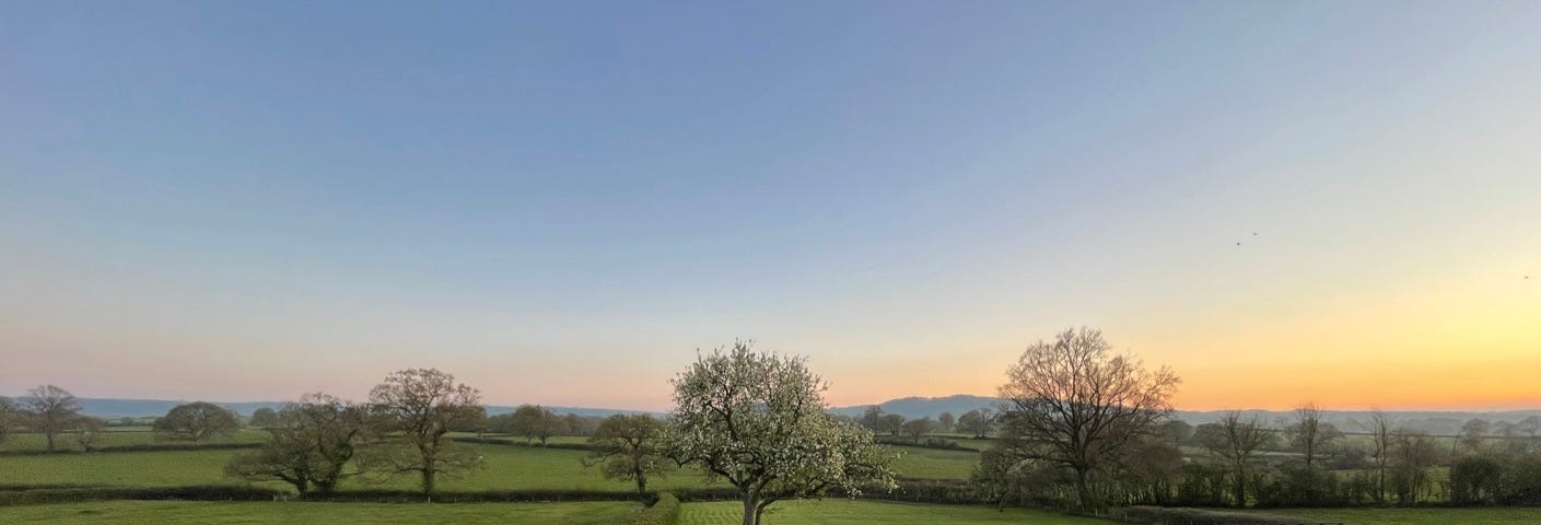 Fields and trees with a blue sky and a slight tinge of red sunset at the horizon