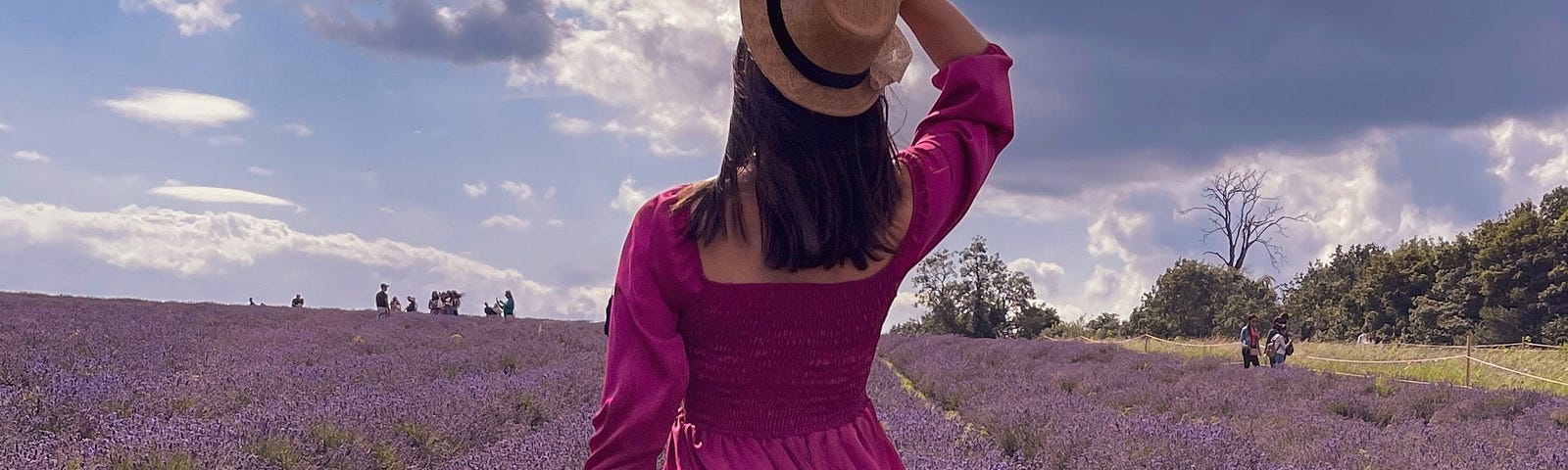 Lady in a purple dress with her back to the camera. She is staring at a field of purple flowers.
