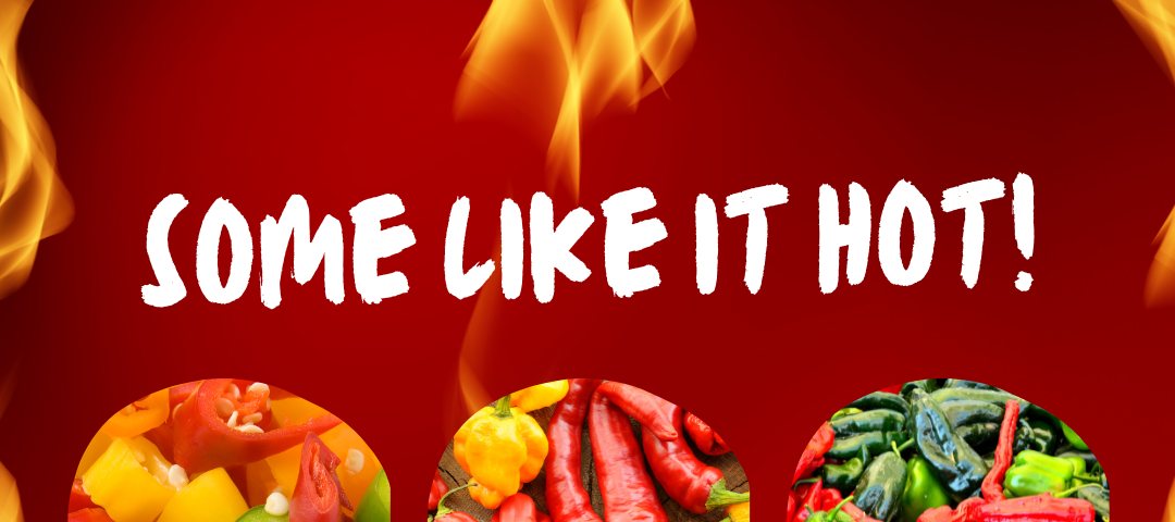 Image shows a red background with flames moving upward. There are three circles, each filled with various types of hot peppers. Text: Some like it hot!