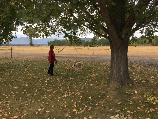 Woman and dog under a tree with autumn colors