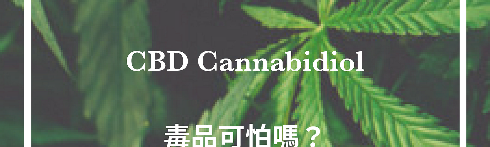 CBD台灣, CBD 香港, CBD油, CBD軟糖, CBD oil, CBD合法, CBD哪裏買, CBD憂鬱, CBD焦慮, CBD副作用, CBD癲癇, CBD失眠, CBD購買, CBD哪裏買, 大麻二酚, 漢麻, 毒品, CBD感覺