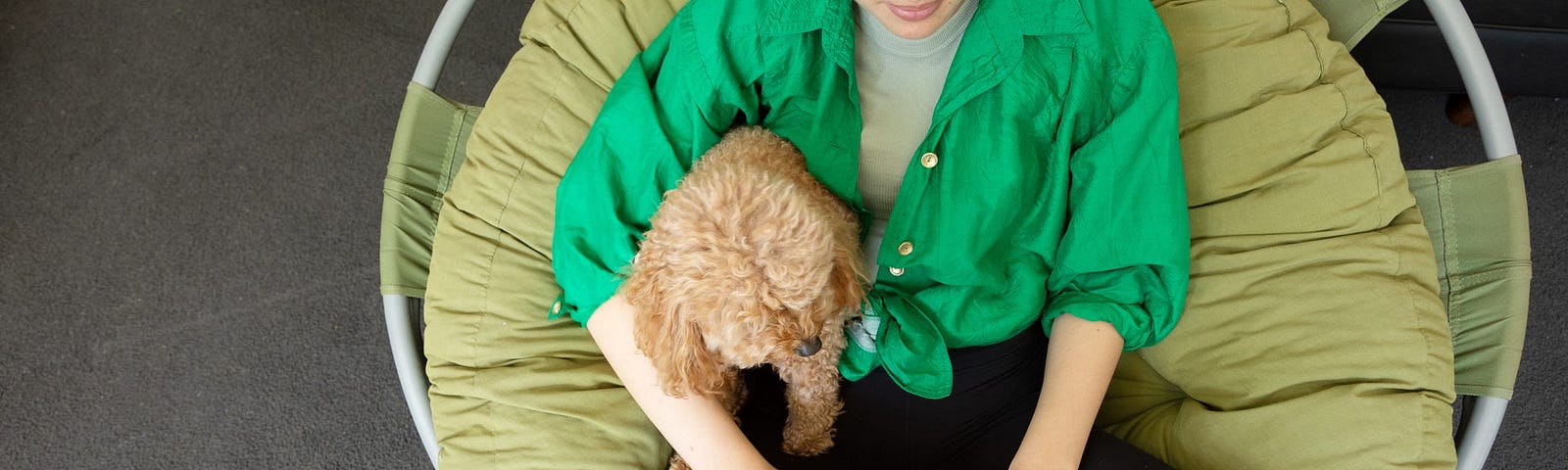 A person on their laptop with a dog on their lap.