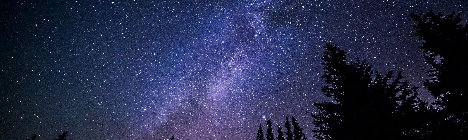 Decorative image of the Milky Way seen from a forest.