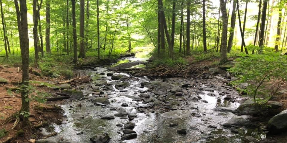 Pleasant Valley Wildlife Sanctuary, Lenox, The Berkshires, Massachusetts