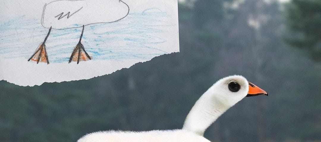 The top left corner shows a child’s drawing of a duck floating in water. The main pic is a realistic version of the drawing.