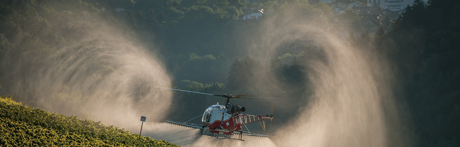 Photo of a helicopter spraying a field.