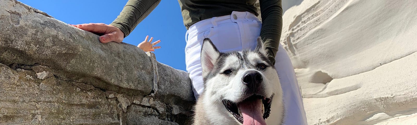 A siberian-husky with it’s owner.