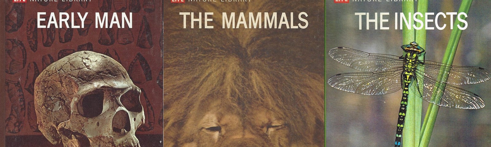 Three covers from the Nature Library series: Early Man (a skull); The Mammals (a lion’s face); The Insects (a dragonfly on a plant).