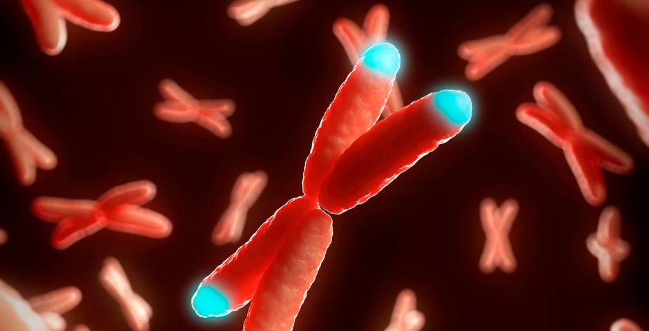 healthy telomeres