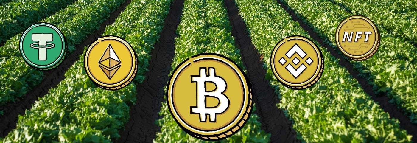 Crypto Farming