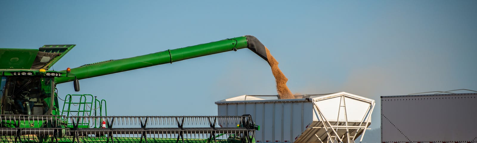 wheat being harvested