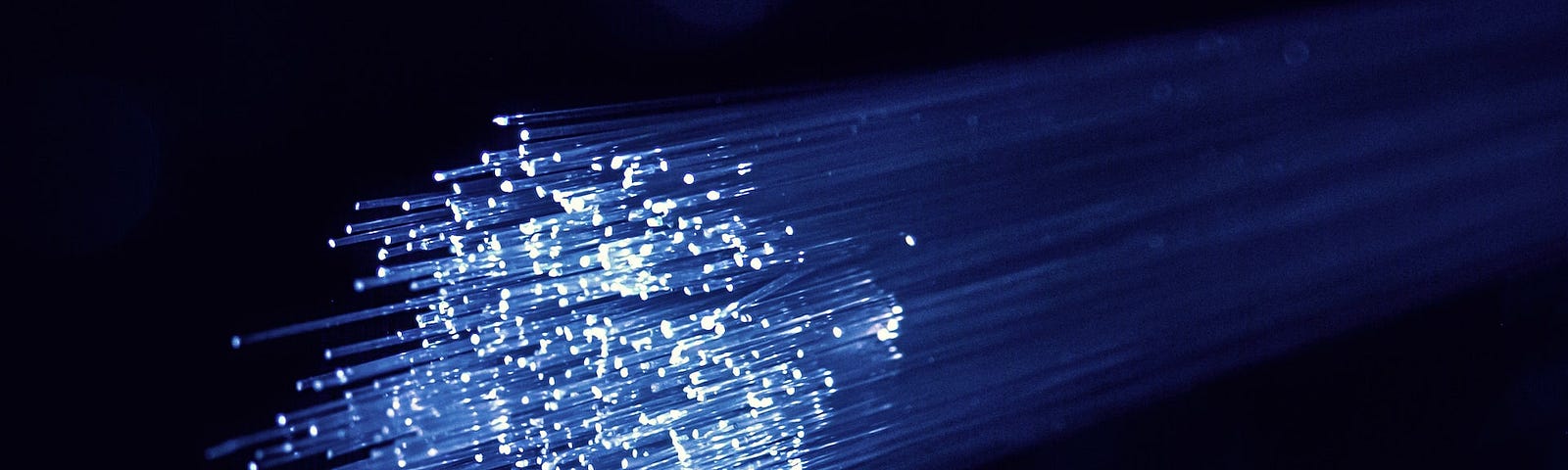 IMAGE: A bunch of fiber optic cables with their ends cut and illuminated