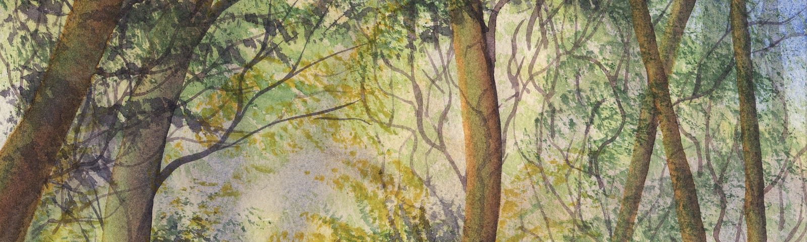 Watercolour painting by Susan Alison of woodlands