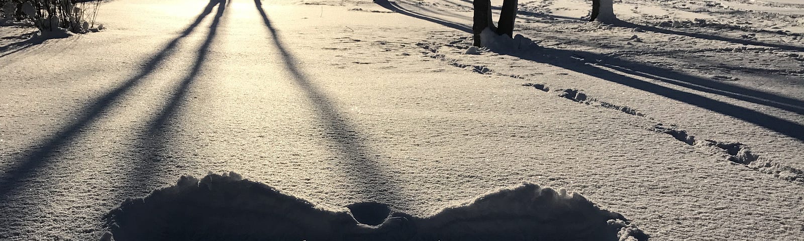A snow angel lighted by the setting sun.