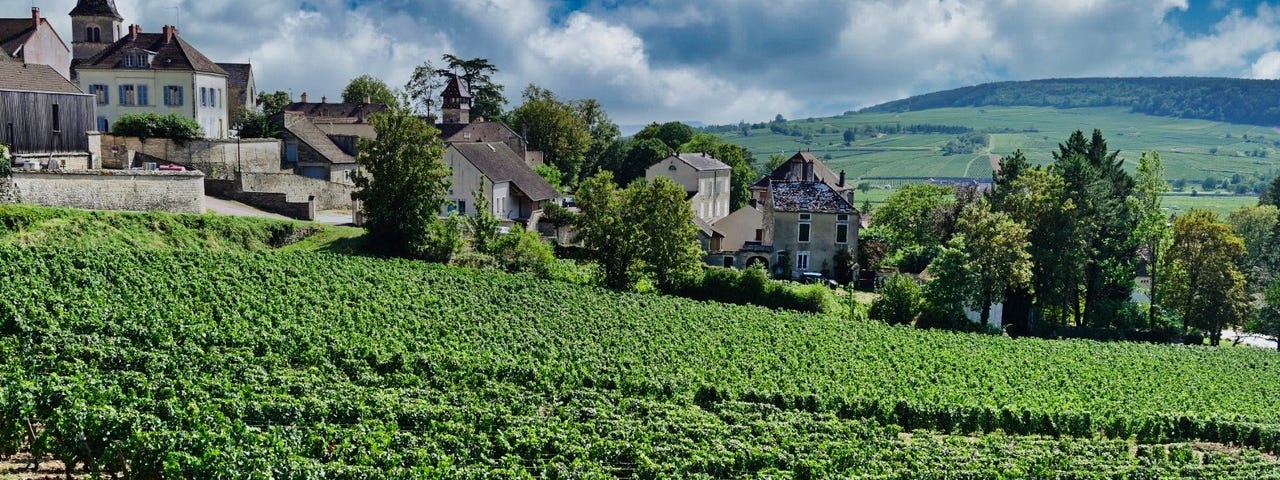 The town and vineyards in Monthelie, France at harvest time.