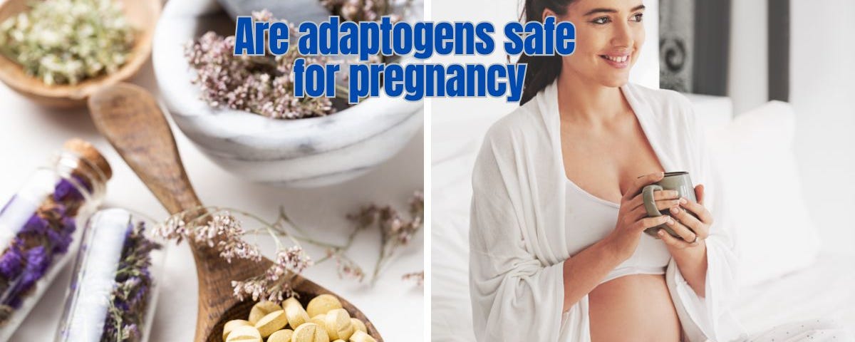 Are Adaptogens Safe for Pregnancy