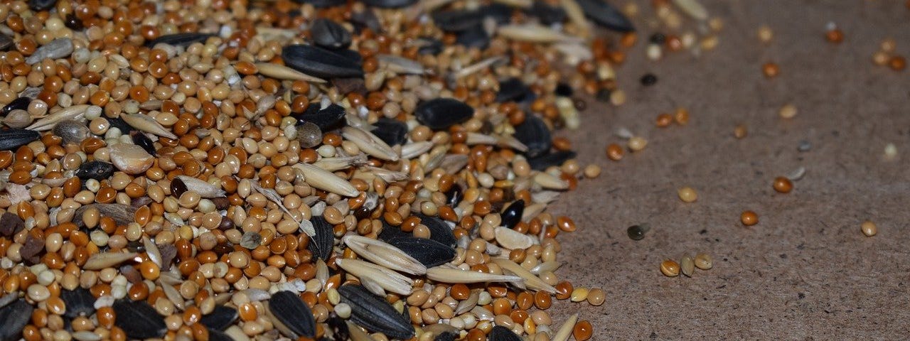 A pile of mixed seeds