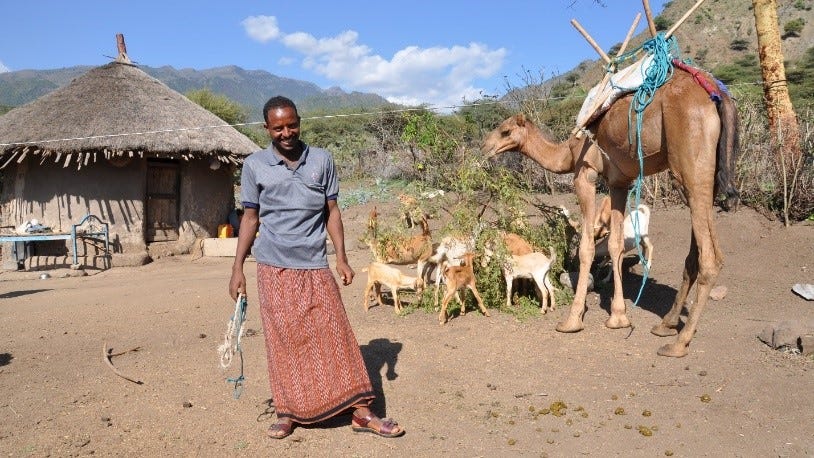 A Livelihoods for Resilience participant who received microfinance loan to start goat rearing business. (Photo: Livelihoods for Resilience)