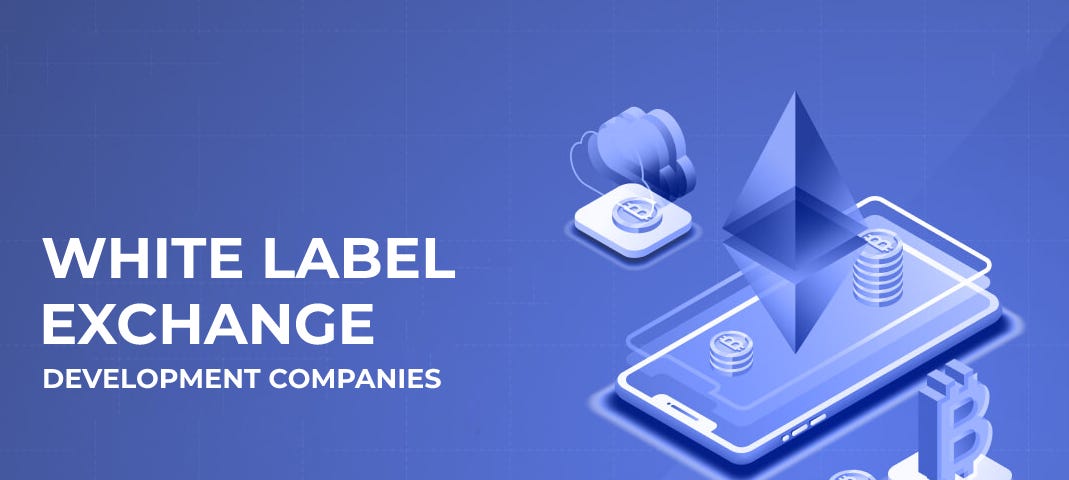 Top 10 White Label Exchange Development Companies in 2024