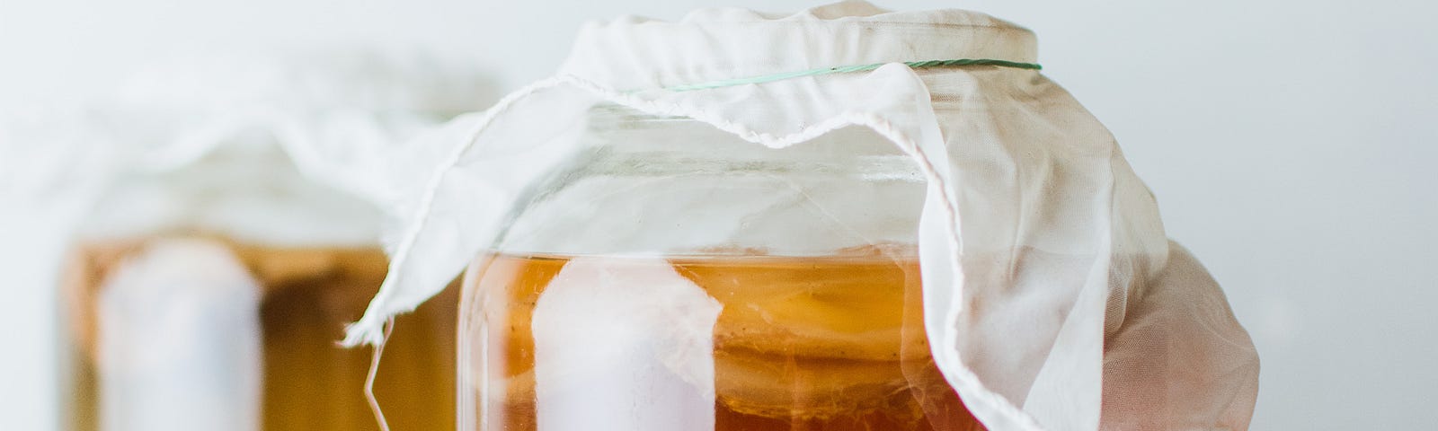 Two glass jars of fermented tea
