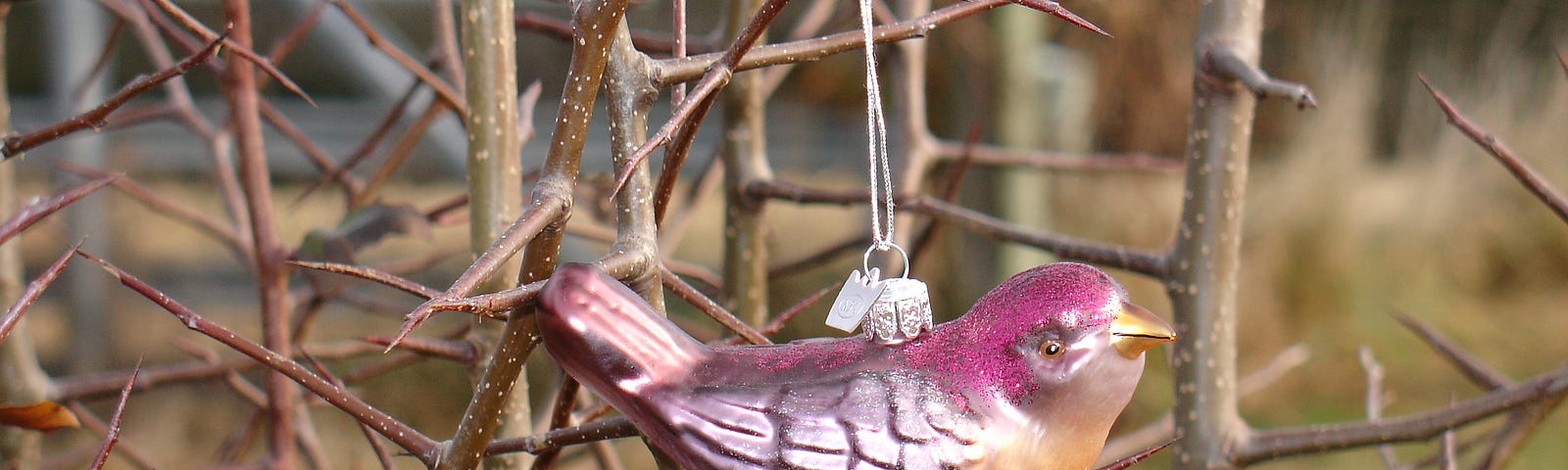 A glass christmas ornament shaped like a pink and gold bird, hanging on a bare crabapple tree.