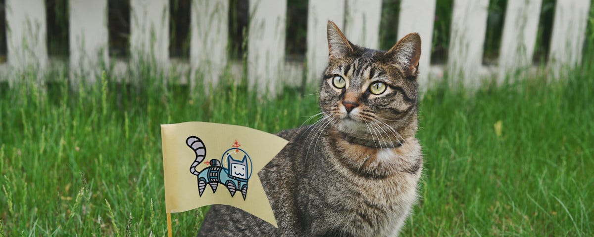 A tabby cat sitting on a lawn, next to a small flag depicting a cartoon cat wearing a space suit.
