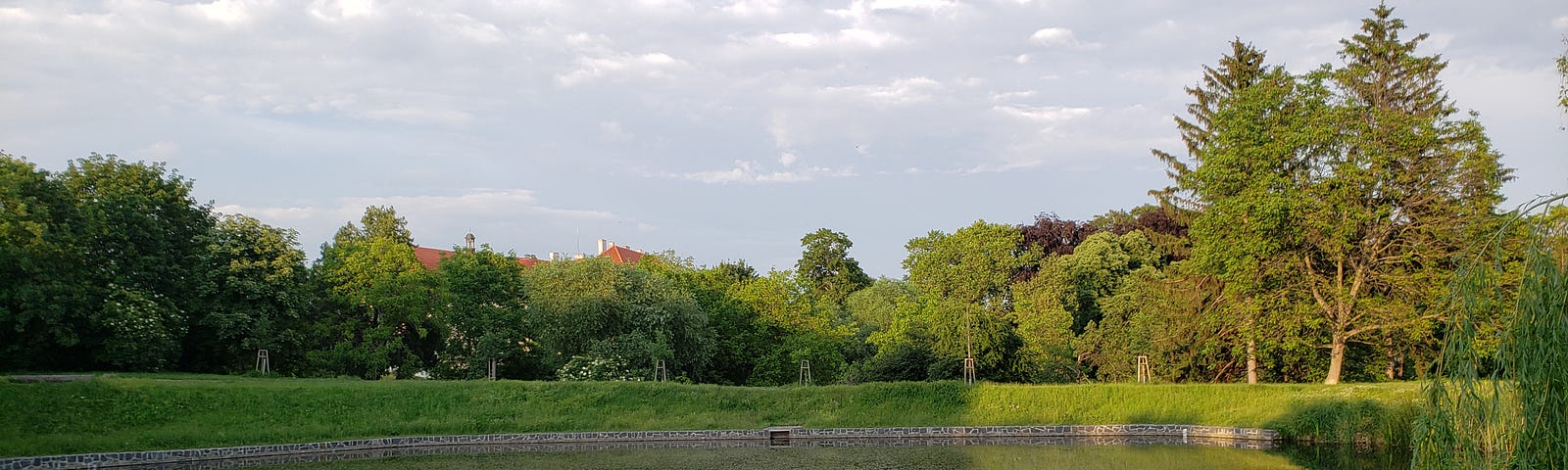 A duck nest in a serene pond in Prague, Czech Republic.