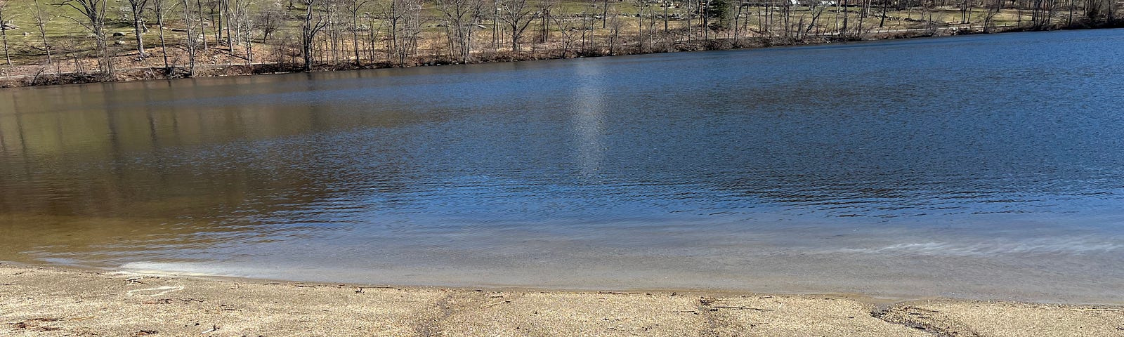 Photo of sandy beach area at a lake with my son’s white ashes floating and settling into the water