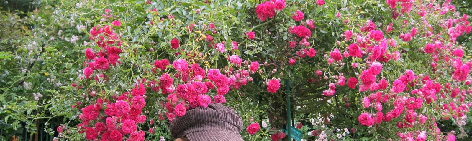 Photo of the author wearing the hat in question in Monet’s garden, Giverny, France 2011
