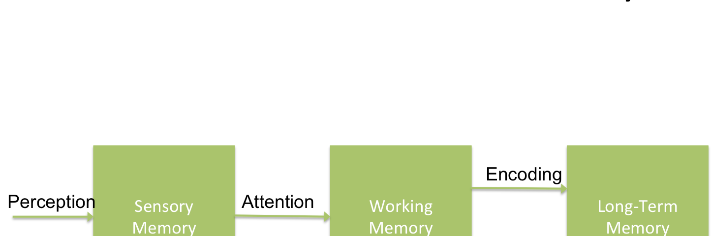 Graphic representing the Multi Store Model of Memory