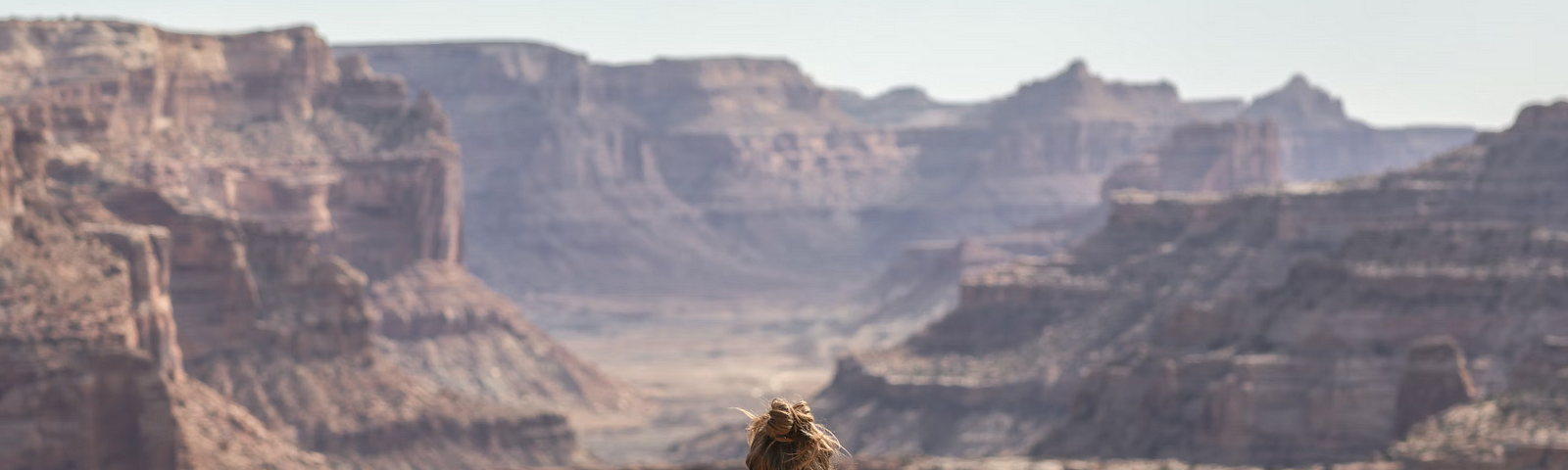 Person on their own looking out at canyon with their dog.