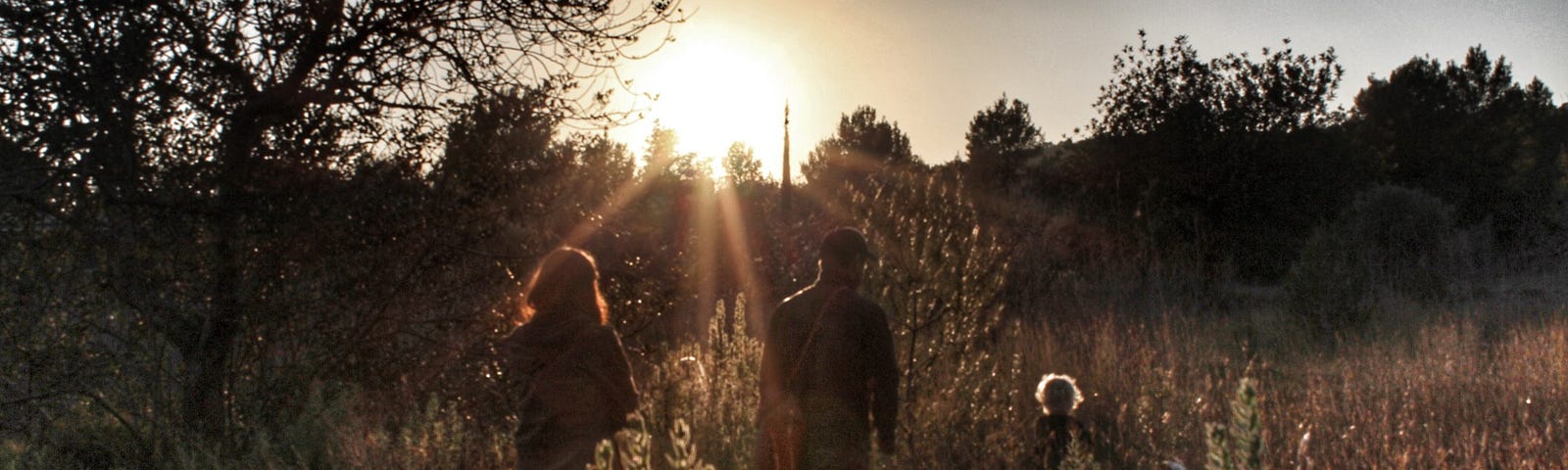 The silhoutte of a family walking through tall grass at sunset.