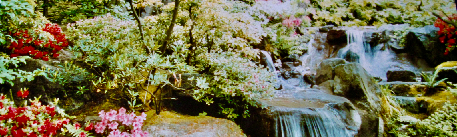 Trickling waterfalls in a garden.