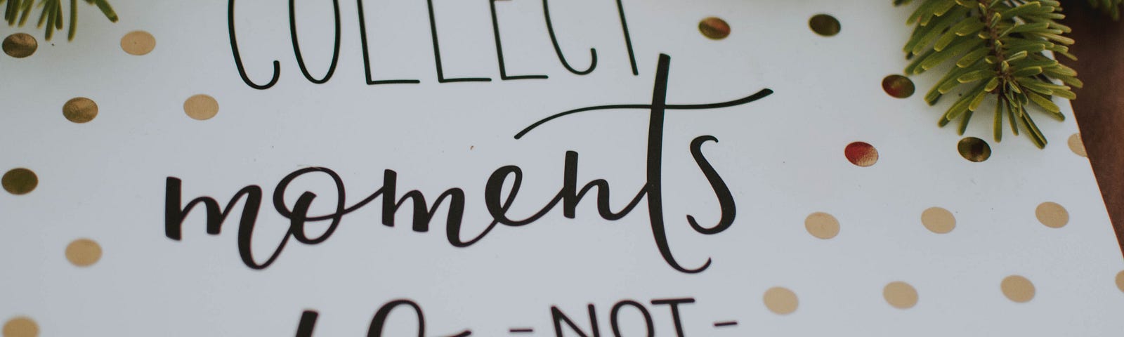 A photo album cover with the phrase “Collect Moments not Things” reswts among sprigs of fir and spruce.