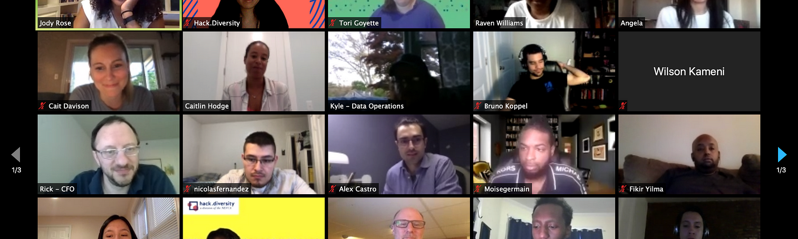 Screenshot of our Hack.Chat which occurred via Zoom meeting. Picture shows some Hack.Diversity Fellows and Comlinkdata team.