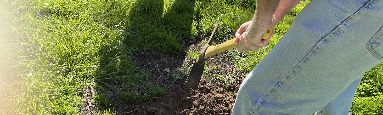 Author digging a hole with a shovel.