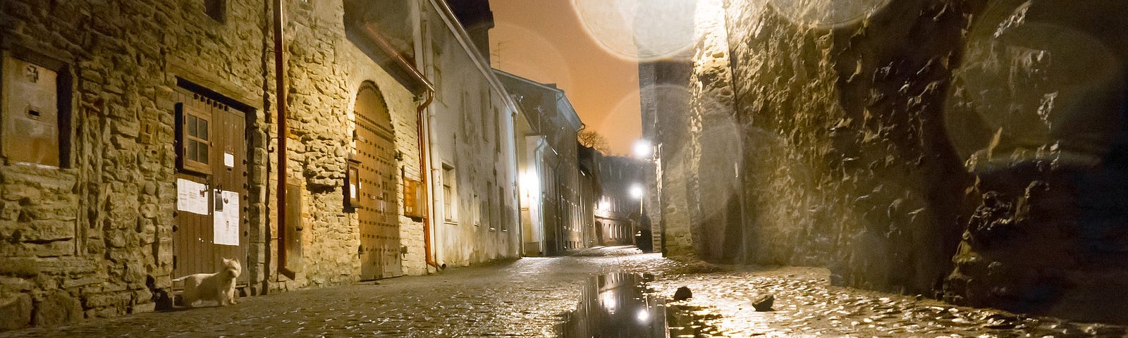 A cobblestone city street, glistening and wet from rain
