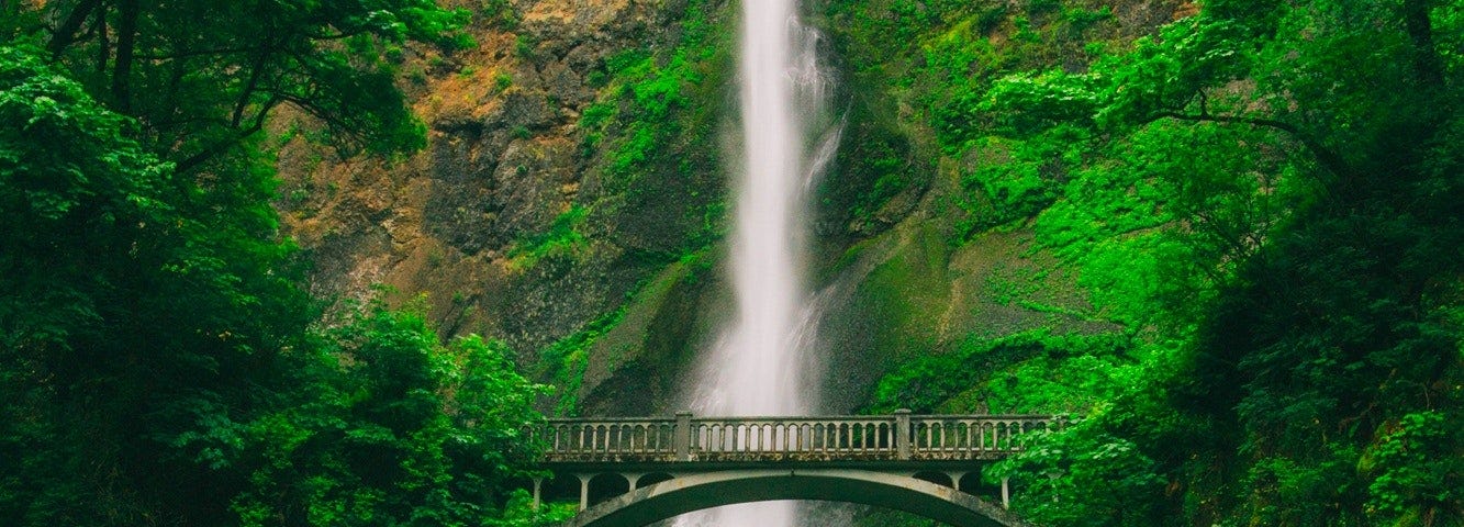 pic of a beautiful waterfall in the forest