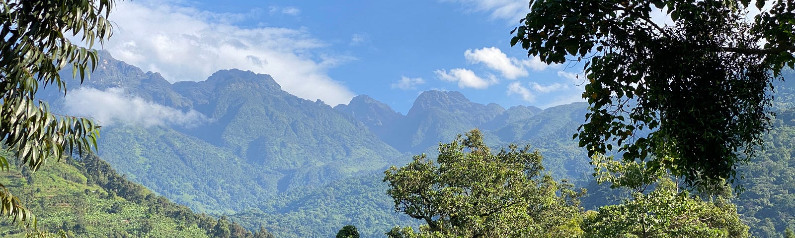 A stunning blue sky with mountains and a jungle valley below it.