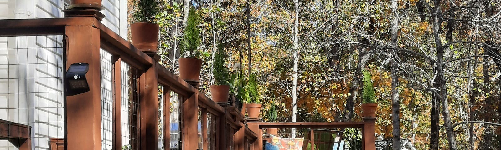 photo of deck with small arborvitae trees on posts