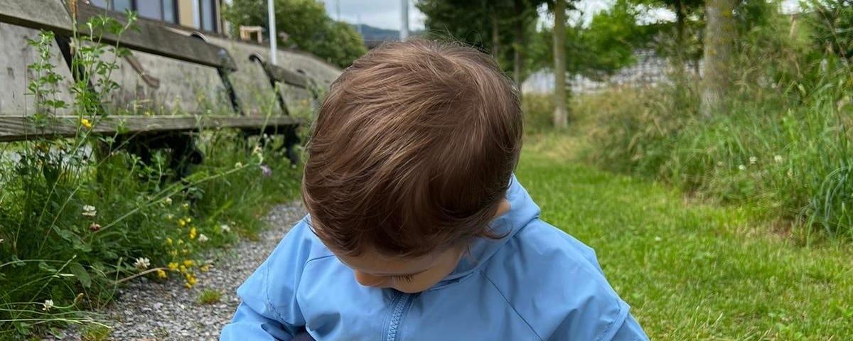 A kid is playing in the garden, holding a daisy in his right hand. He is wearing a light blue jacket, blue trousers and white sneakers.