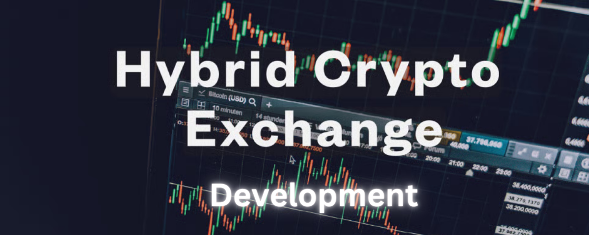 Hybrid Crypto Exchange Software — Best of Both Exchanges