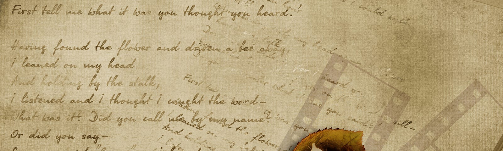 Vintage writing on sepia paper with a white rose in the foreground