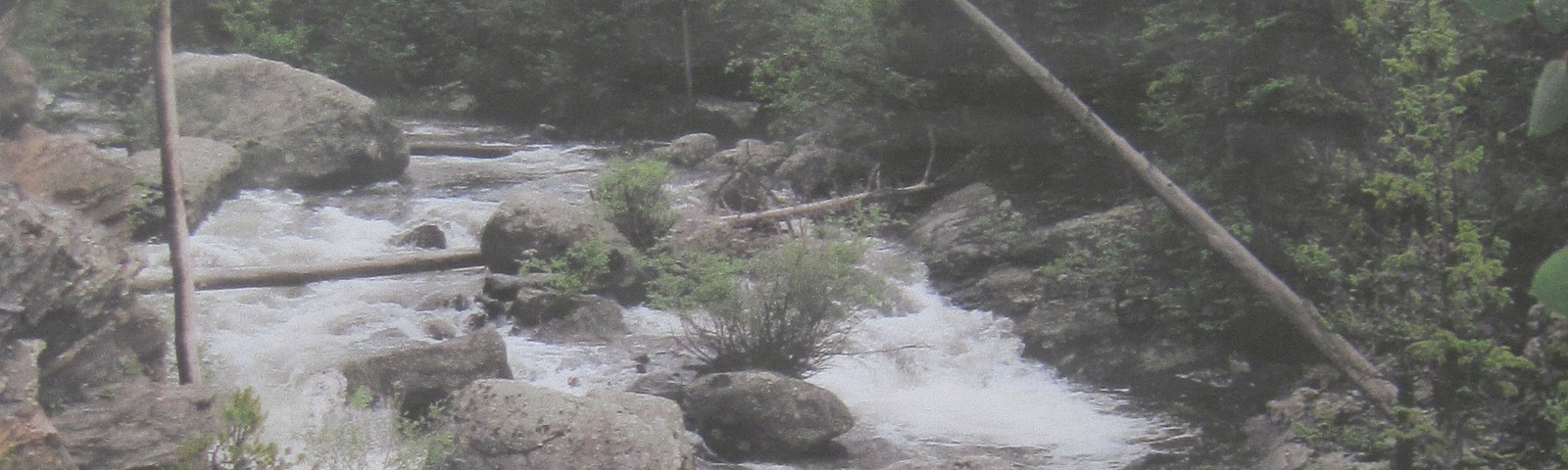 Photo of a river in the forest.