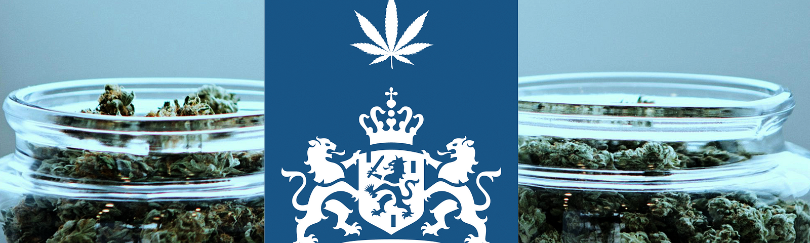 Rijksoverheid cannabis experiment The Netherlands