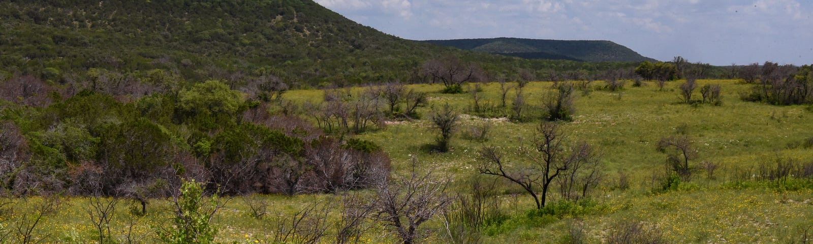 A landscape with oak savannah on the flats and juniper forest on the hill slopes