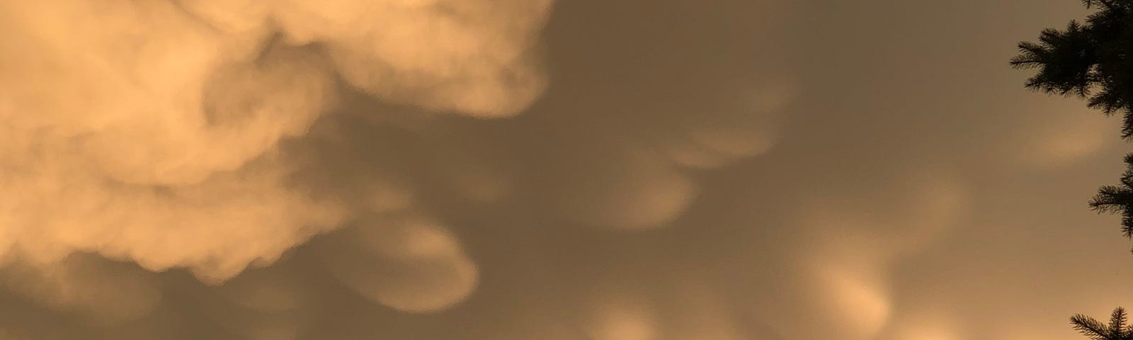 Photo of mammatus clouds