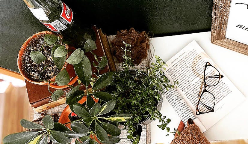 Coffee-stained book on a wooden desk, with plants scattered around